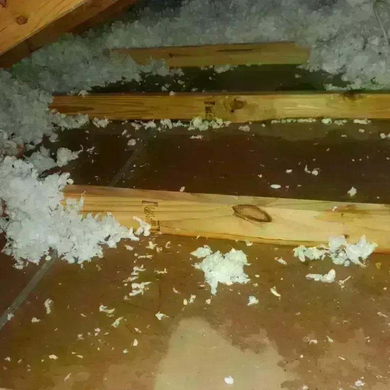 Attic Water Damage in Saluda, SC