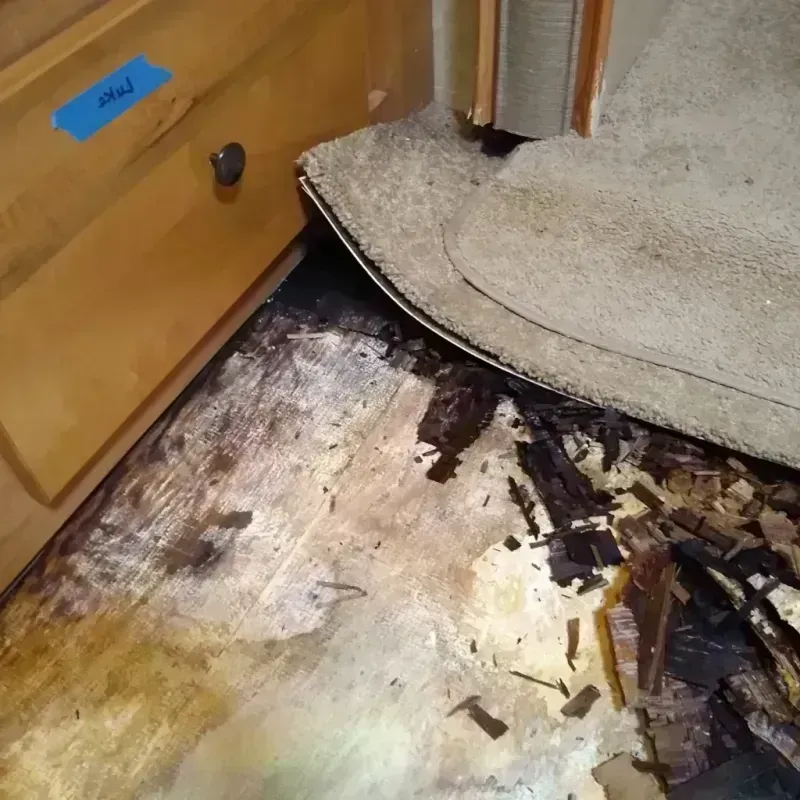 Best Wood Floor Water Damage Service in Saluda, SC